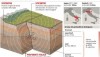Terremoti: la tettonica delle placche e la forza della Natura