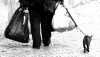 Clochard alla riscossa