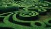 Ambiente: aiutare le imprese a orientarsi nel labirinto verde