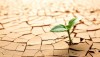 Chi mangerà, o non mangerà, in futuro sulla Terra?