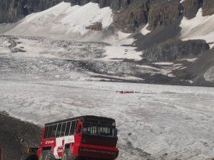 004 - Columbia Icefield