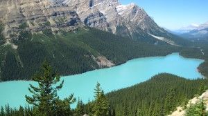 005 - Peyto Lake