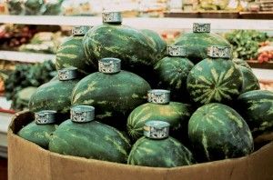 Gabriel Orozco_Cats and Watermelons