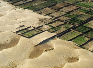 desertificazione