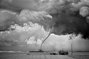 Mitch Dobrowner2011