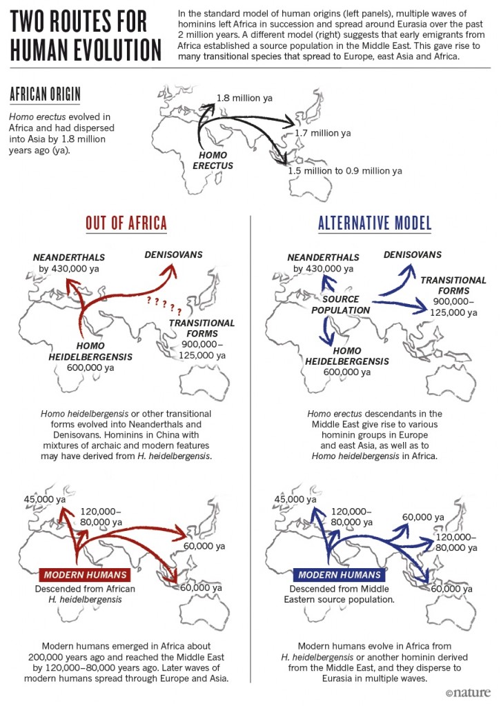 due le ipotesi per evoluzione