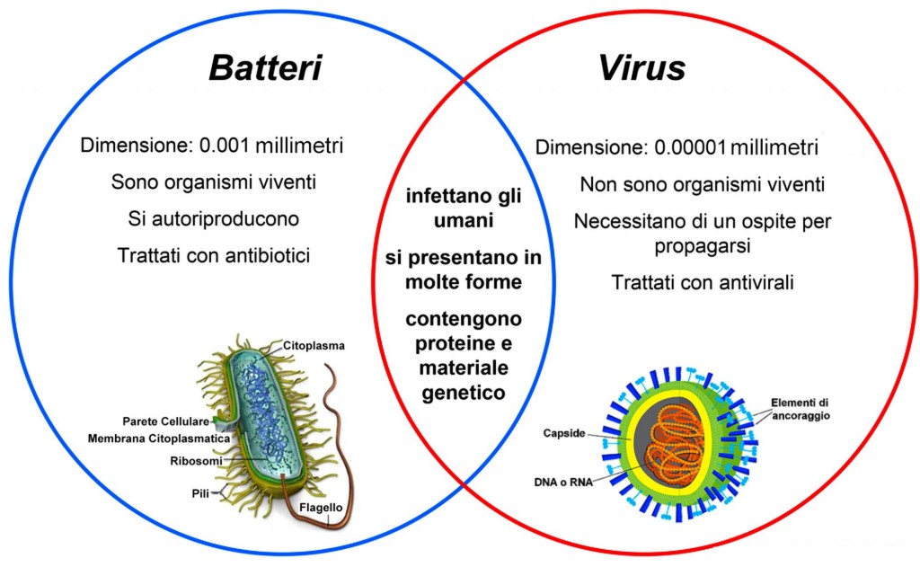 virus-batteri