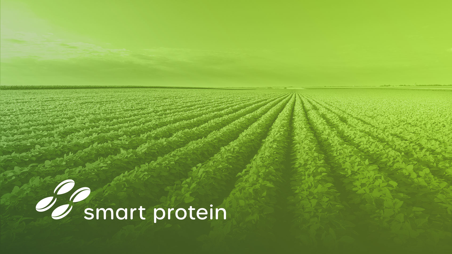 Smart-Protein-banner-1920x1080px_06